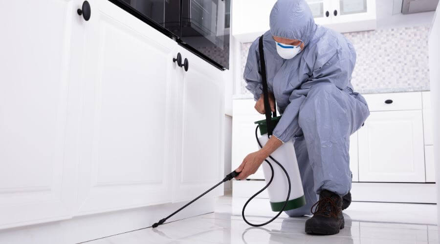 Professional bait systems services in Muskogee - Muskogee Bait Systems